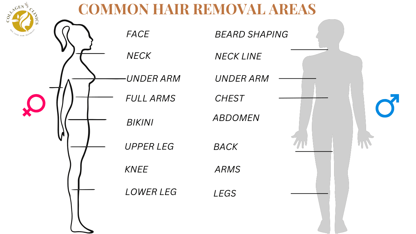 rich results to be shown on google serp when searched for "laser hair removal areas